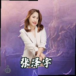 张泽宇